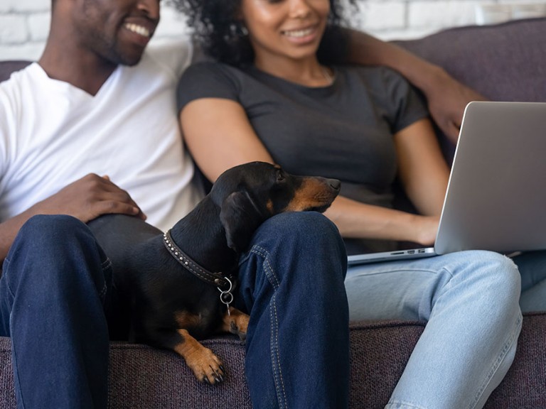 mgr-property-management-pet-restrictions